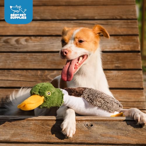 Interactive Squeaky Dog Chew Toy (Mallard Duck (Gray, Gray, Brown) / Small)