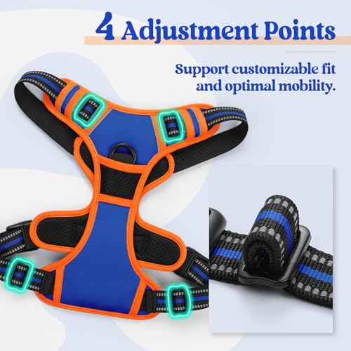 Dog Harness No Pull for Large Dogs with 2 Leash Clips (Large / Blue & Orange)