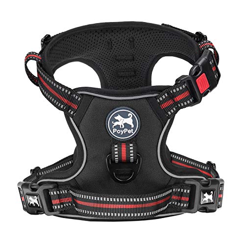 Dog Harness Medium (Medium / Black with Red)