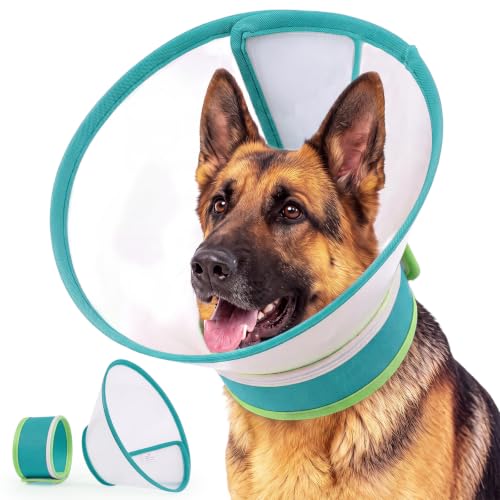 Dog Cone Collar to Stop Licking (Green / Xl)
