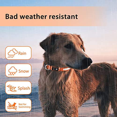 Light up Dog Collar (Orange / M(15 inch-19.7 inch))