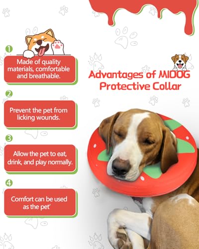 Inflatable Dog Cone (Tomato / XL(21"-24"))