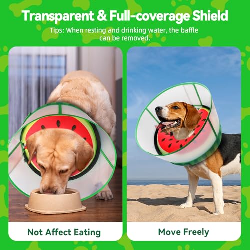 Upgraded Inflatable Dog Cone Collar to Stop Licking (M (Neck: 8-11") / Watermelon)
