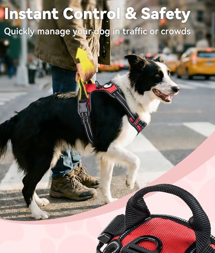 No Pull Dog Harness Medium Sized Dog (Medium / Red)