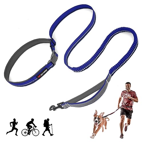 Hands Free Bungee Dog Leash (Blazing Blue)
