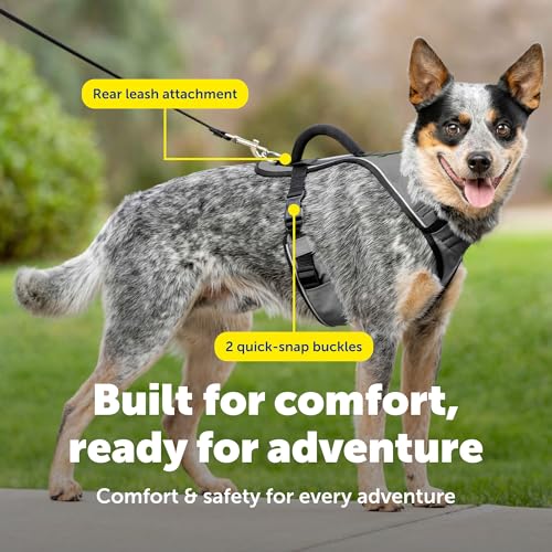 EasySport Dog Harness (Medium / Charcoal)
