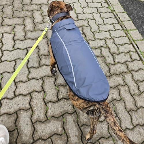 Dog Raincoat Adjustable Waterproof Reflective Rain Jacket for Small Medium Large Dogs (M Chest 26"-32" / Dark Gray)