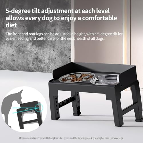 Elevated Dog Bowls with Stainless Steel Slow Feeder Bowl for Medium and Large Dogs (1 Stainless Slow Feeder & 1 Stainless Bowl / Black)