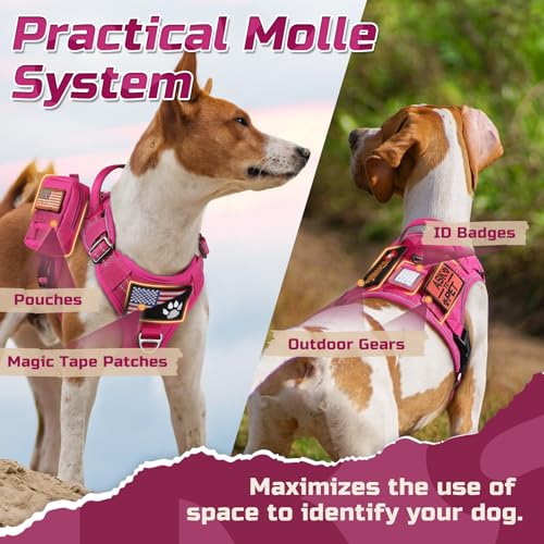 Tactical Dog Harness for Large (Rose Red / Large)