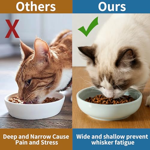 5.3 in Ceramic Cat Dishes (Light Blue)