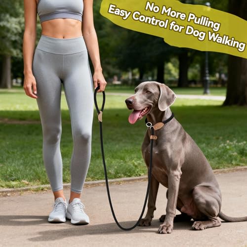 Heavy Duty Slip Lead No Pull Leash 6 (Black / 4 Feet)