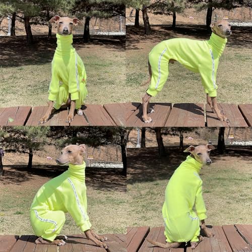 D Doggy Star Italian Greyhound Clothes Stretchy Towel Sports Onesie Outfit Whippet for Dog Coat (M / Towel Neon Yellow)
