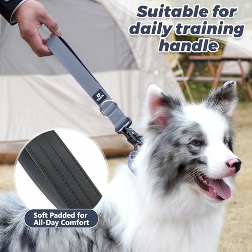 14 Inch Traffic Dog Leash with Padded Handle (Steel Blue Gray)