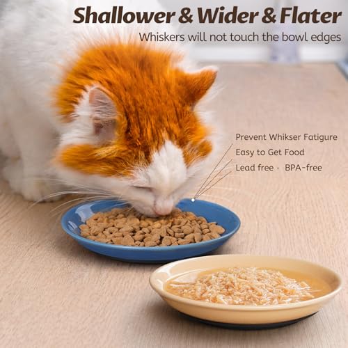 Colorful Cat Food Bowl (Colorful-4 Pack)