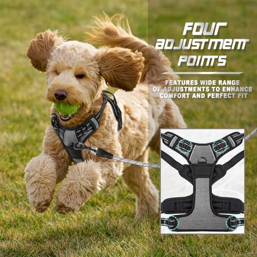 Dog Harness No Pull for Small Sized Dog Front Back Clips (X-Small(Chest:15.5-19.5”) / Dark Grey)