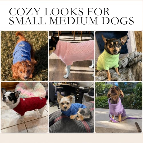 Small Dog Sweaters (Blue / Medium)