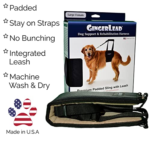 Dog Support Sling Rear Harness (Large - Female)