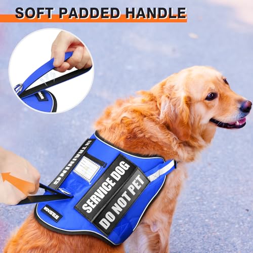 Service Dog Harness and Leash Set (X-Small / Blue)