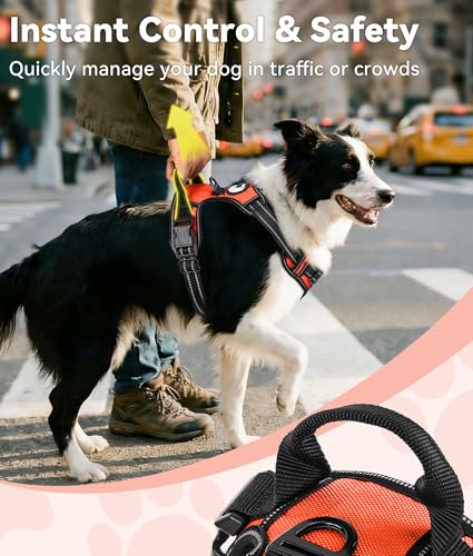 No Pull Dog Harness for Large Dogs (Large / Orange)