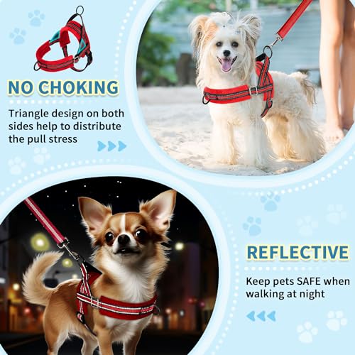 No Pull Small Dog Harness and Leash Set with Front Clip (Small / Red)