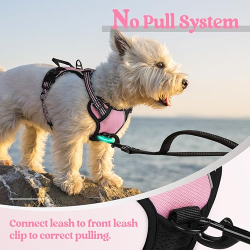 Dog Harness No Pull with 2 Leash Clips (X-Small / Pink)