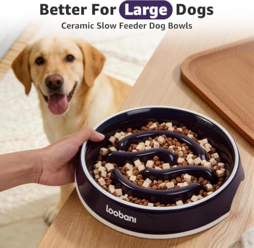 3.5 Cups Ceramic Slow Feeder Dog Bowls Large Dogs with Grip Handles (purple / L (3.5 cups))
