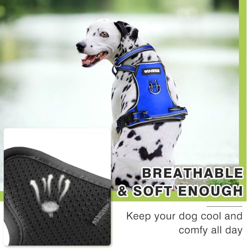 Dog Harness No Pull (Medium / Blue)
