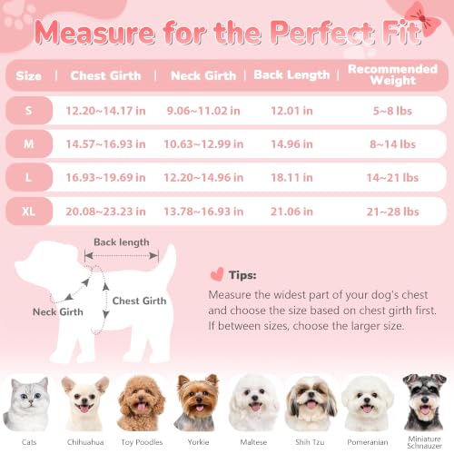 Bowknot Dog Sweater Dress for Small Dogs Girl (Large (14-21lbs) / Rose Pink)