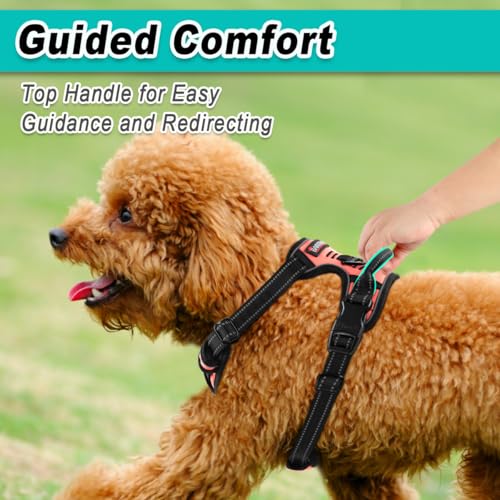 Dog Harness for Small Sized Dog No Pull 2 Leash Clips Dog Vest (X-Small / Light Pink)