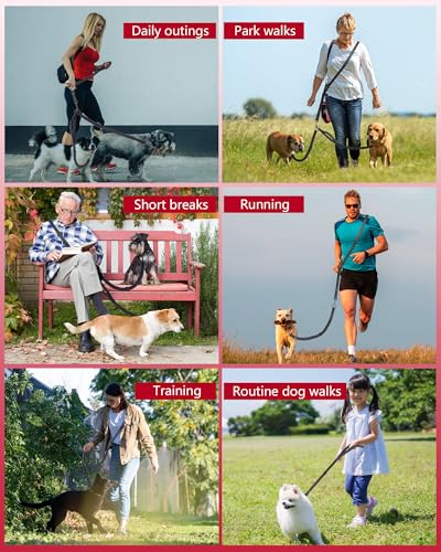 3-in-1 Double Dog Leash, Hands-Free Convertible Leash for 1 or 2 Dogs (Black)