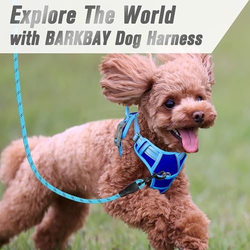 Dog Harness No Pull for Small Sized Dog Front Back Clips (Small(Chest:19.5-26") / Sapphire Blue & Blue)