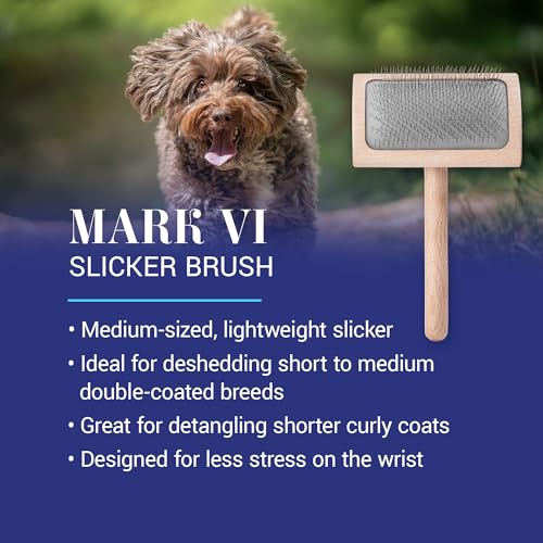 Mark VI Curved Back Slicker Brush for Dogs (Mark VI Medium Curved Back)