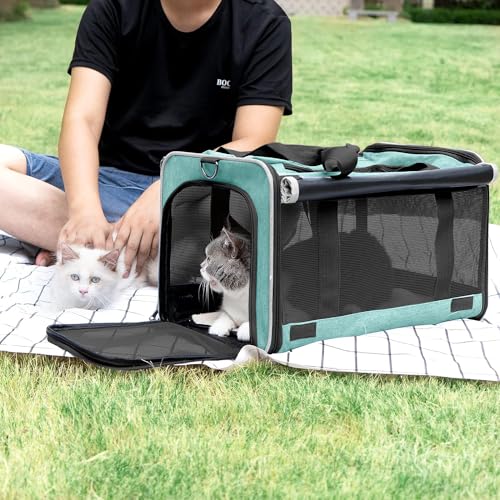 Small Dog Carrier Yorkshire Puppy Softshell Chihuahua Transport Cage (Turquoise / 18.1"L x 11.8"W x 11.8"H)