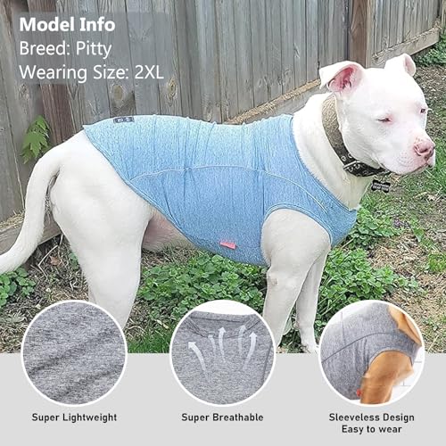Reflective Dog Shirt (XXX-Large (55-75lbs) / 2#Grey)