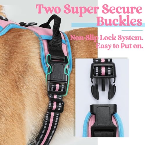 Dog Harness No Pull Medium Sized with 2 Leash Clips (Medium / Pink & Blue)