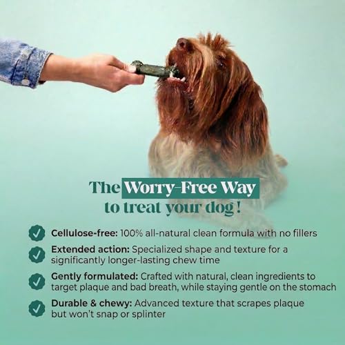 Brush Buddies Vet Backed Dog Dental Chews (25 Count (Pack of 1))