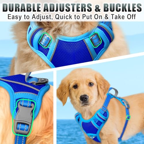 Dog Harness for Small Sized Dog No Pull Dog Vest ID Tag Pocket (Sapphire Blue & Blue / Small)