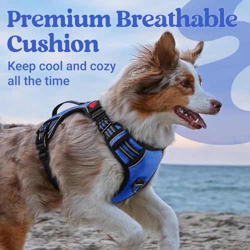 Large Dog Harness (Small / Blue)