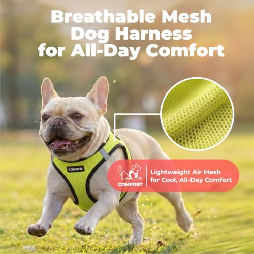 Voyager Step in Air Dog Vest Harness (Lime Green/Black Trim / L (Chest: 18 - 20.5"))