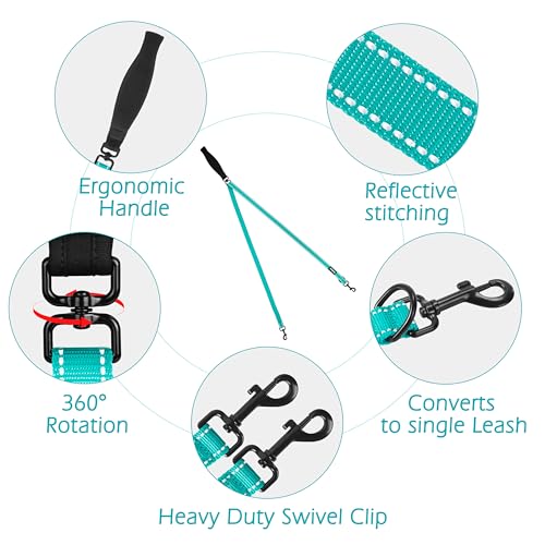 Two Point Control Dog Leash (Turquoise)