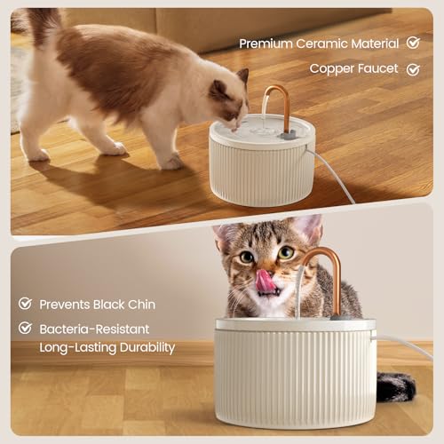Ceramic Cat Water Fountain