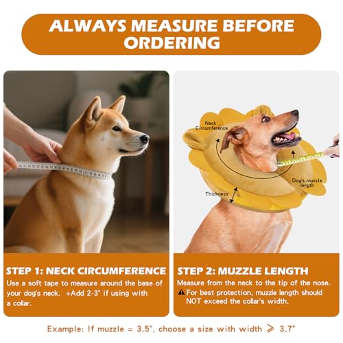 Inflatable Recovery Dog Collar (Vampire / X-Large (Neck:20''-23''))