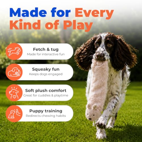 2-in-1 Stuffless Squeaky Dog Toy - Hare, Medium (Brown/Hare / Medium)