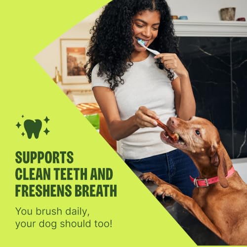 Wellness WHIMZEES Freshzees Natural Dog Dental Treat (28 Count (Pack of 1))
