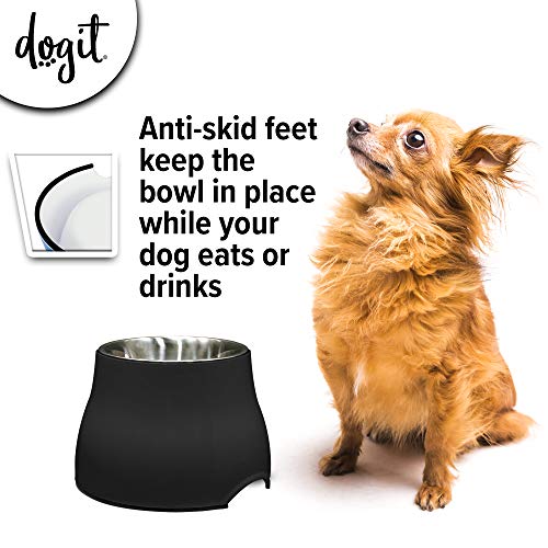Elevated Dog Bowl (Small / Black)