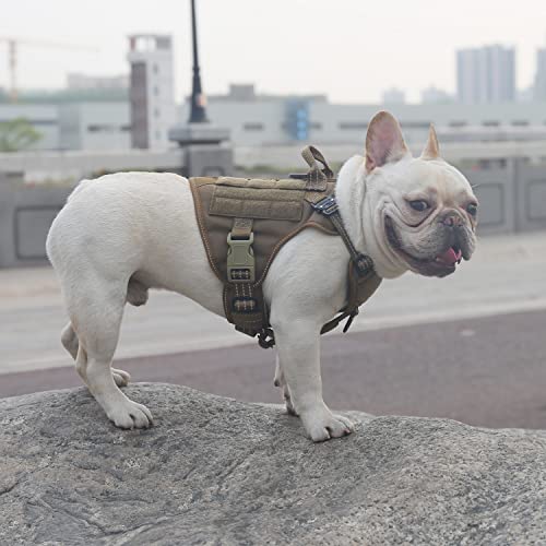 Tactical Dog Harness for Small Dogs (Small (Pack of 1) / Brown)