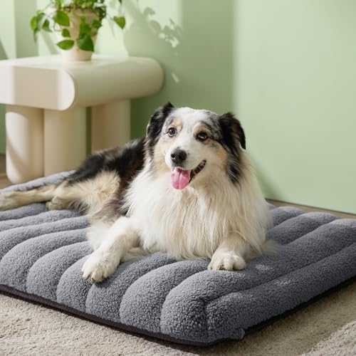 Cute Orthopedic Dog Bed Large Sized Dog (36"L x 27"W x 4"Th / Grey)