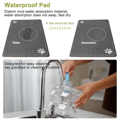 8L Elevated Dog Water Dispenser (8L / Bright White)
