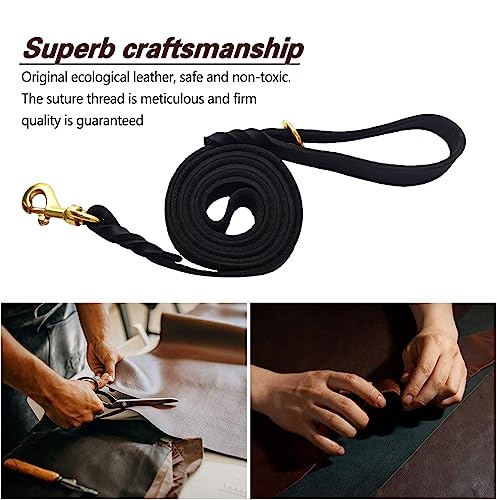 Leather Dog Leash 6ft x 1 (6 ft x 1/2 inch / Black)