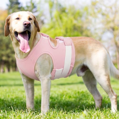 Dog Anxiety Relief Jacket (Pink / Medium (Chest: 24.4"/62cm))